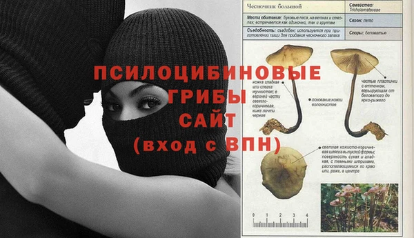прущие крисы Алексеевка
