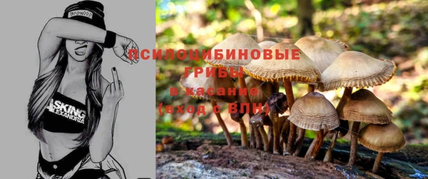 гашик Семилуки