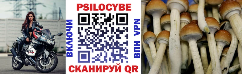 Галлюциногенные грибы мицелий  купить  цена  Дедовск 